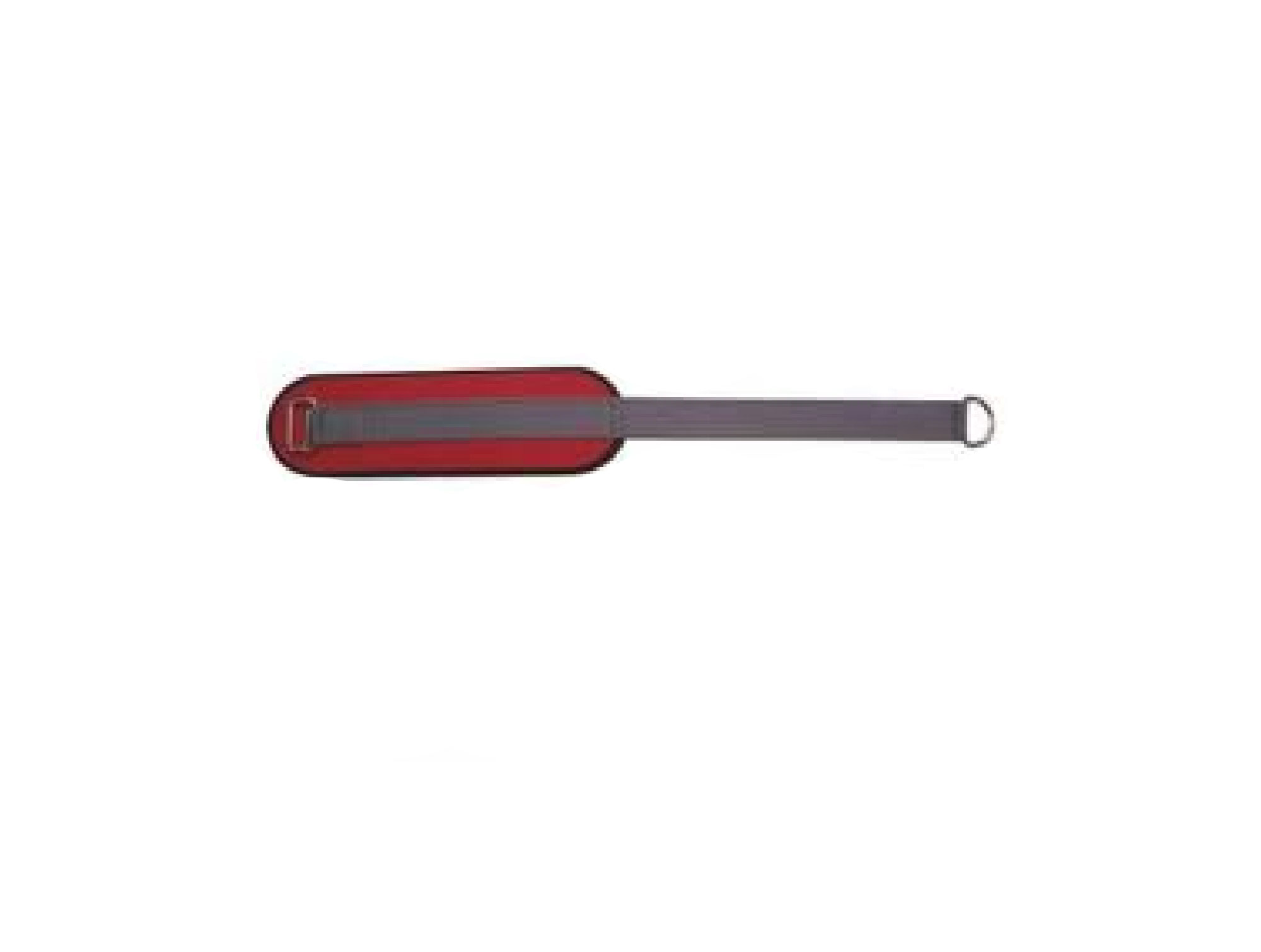 Anneau de rééducation Anneau Suisse (Réf. K4017)